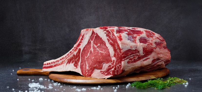 SizzleSentry precision meat preparation