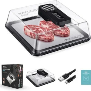 Defrosting Tray for Frozen Meat USB Rechargeable Meat Defrosting Box with Lid